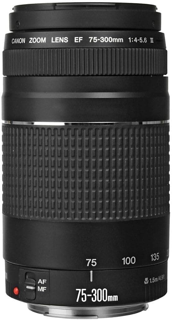 Canon EF 75-300mm f/4-5.6 III Telephoto Zoom Lens for Canon SLR Cameras, 6473A003 (Renewed) | SLR Cameras, Has a filter thread diameter of 58mm and offers a diagonal