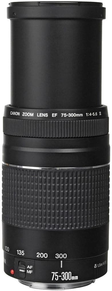 Canon EF 75-300mm f/4-5.6 III Telephoto Zoom Lens for Canon SLR Cameras, 6473A003 (Renewed) | SLR Cameras, Has a filter thread diameter of 58mm and offers a diagonal
