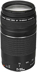 Canon EF 75-300mm Telephoto Zoom Lens Review