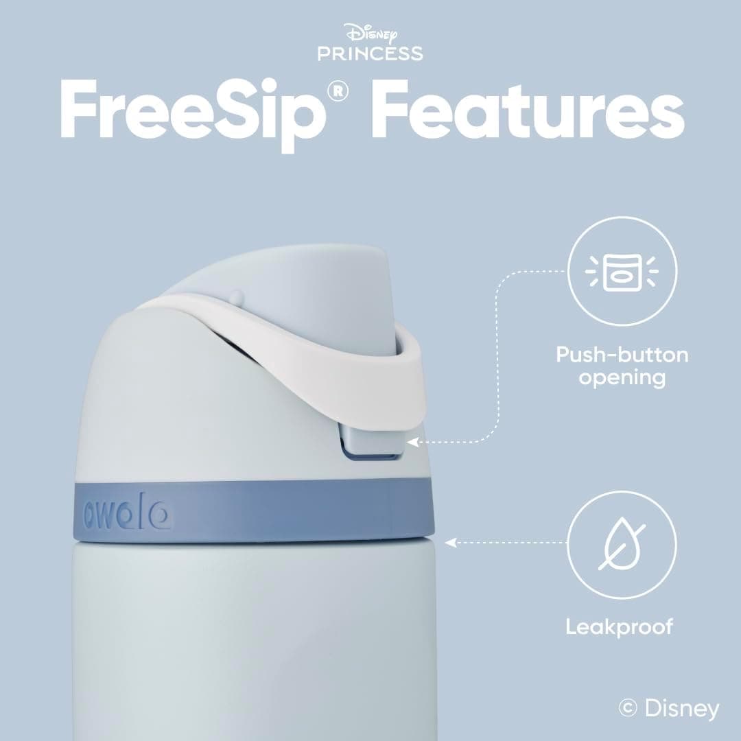 Owala Princess FreeSip Stainless Steel Water Bottle 24 oz Cinderella