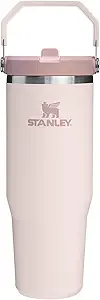 STANLEY IceFlow 2.0 Flip Straw Tumbler Review