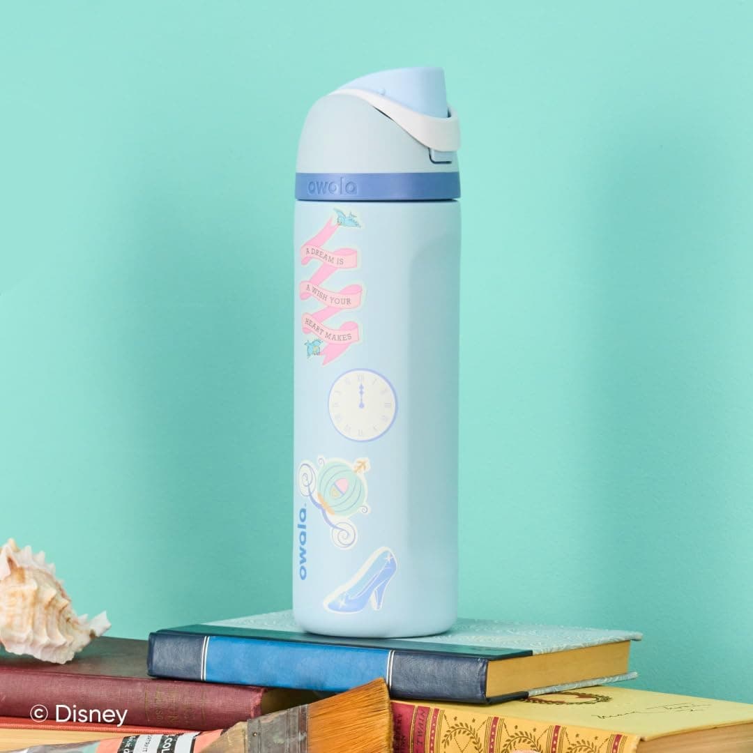 Owala Princess FreeSip Stainless Steel Water Bottle 24 oz Cinderella