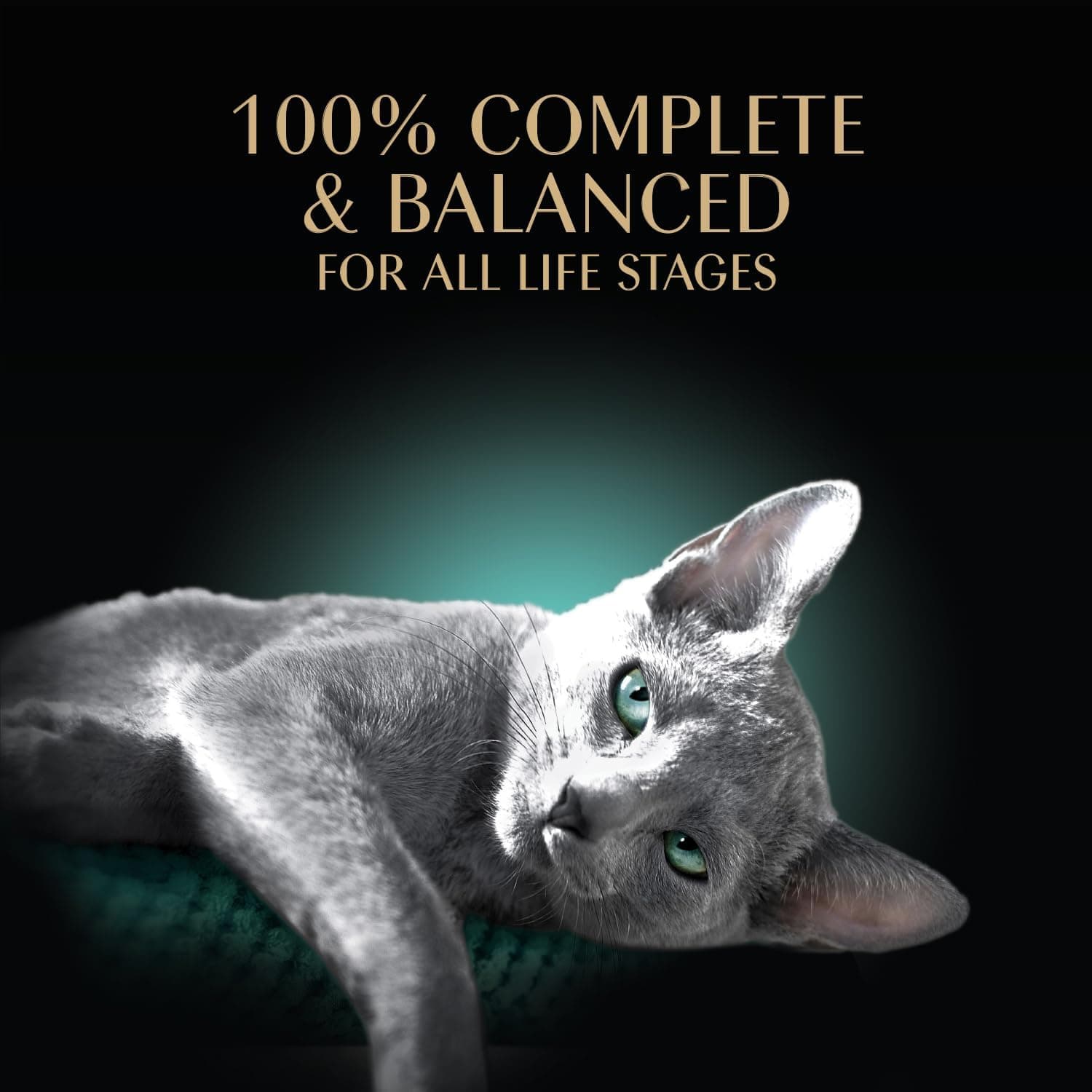 Sheba Perfect Portions Cuts Wet Cat Food, Multipack, 2.6 oz, 24 ct | Grain-free, Chicken, Salmon & Turkey flavors, protein-rich, no corn or soy, essential vitamins & minerals, twin-pack trays