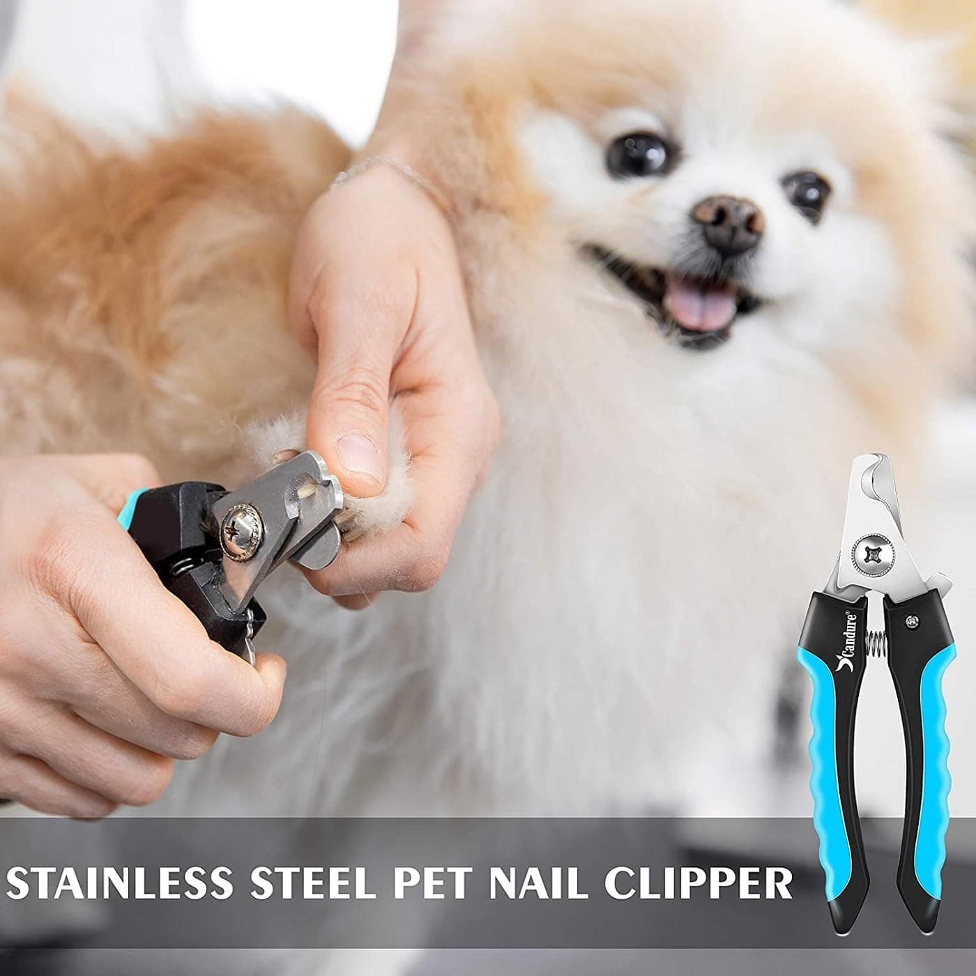 Candure Dog Nail Clippers and Trimmer with Safety Guard to Avoid Over-Cutting Toe Nails, Professional Grooming Pet Nail Clipper with Nail File for Small, Medium & Large Breeds | Pet Dog and Cat Nail Clipper