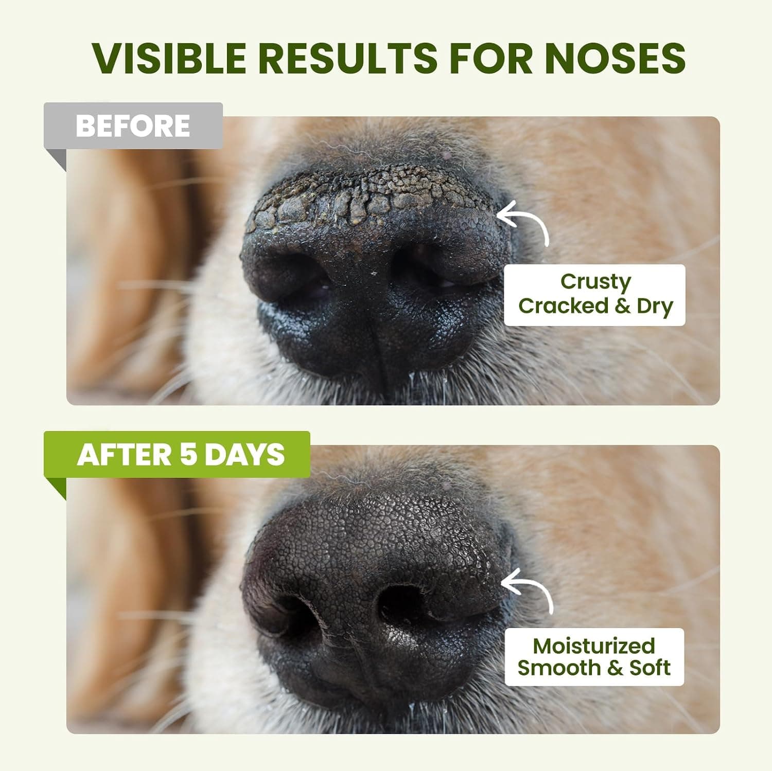 Lick-Safe Dog Paw & Nose Balm with Coconut Oil | All-Natural Moisturizer & Soother for Dry, Cracked Pads & Snout, Heat & Cold Pavement Protection, Horse Hoof Care