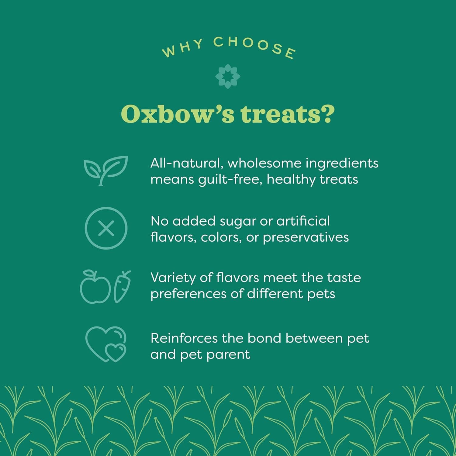Oxbow Simple Rewards Guinea Pig & Rabbit Treats, Apple Banana, Baked, 3 oz | Timothy Hay, Bunny Treats, Hamster Treats, Chinchilla, Guinea Pig Snack, Rabbit Enrichment, Rabbit Accessories, Essentials