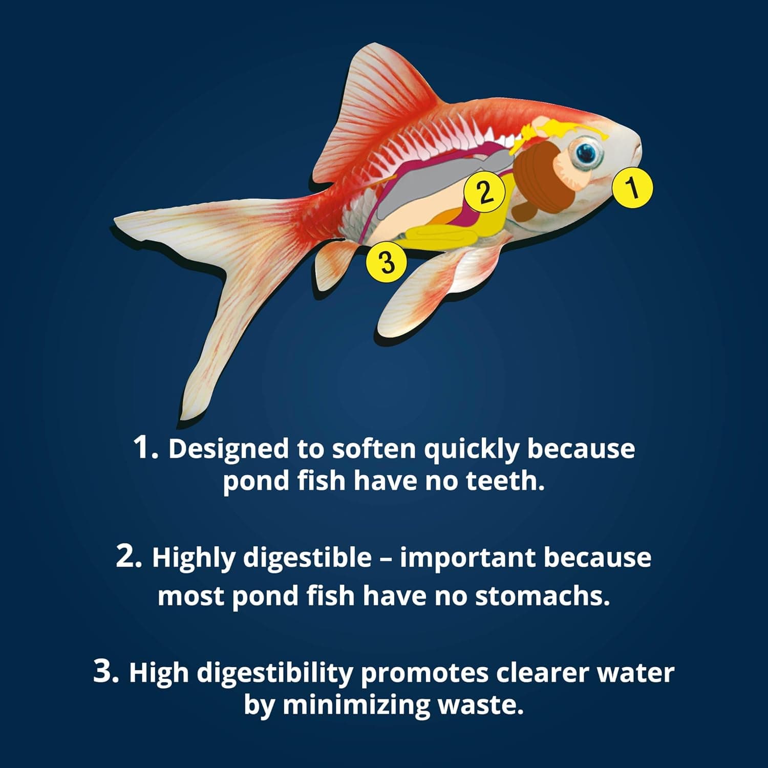 Tetra Pond Koi Vibrance Soft Sticks, Floating Pond Fish Food, 2.42 lbs | Daily Diet for Koi Fish and Ornamental Goldfish, Feed When Water is Above 50 Degrees, Highly Digestible, Clean & Clear Water