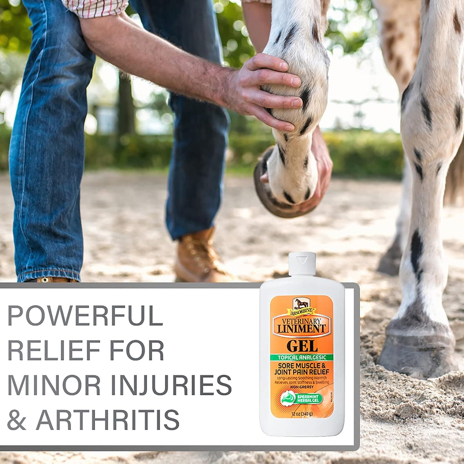 Absorbine Veterinary Liniment Gel, 12 oz Bottle | Gel Format, Menthol Scent, Topical Rub Easy to Use, Fast Relief, Sore Muscles & Arthritis, Pre & Post Workout, Warm Sensation