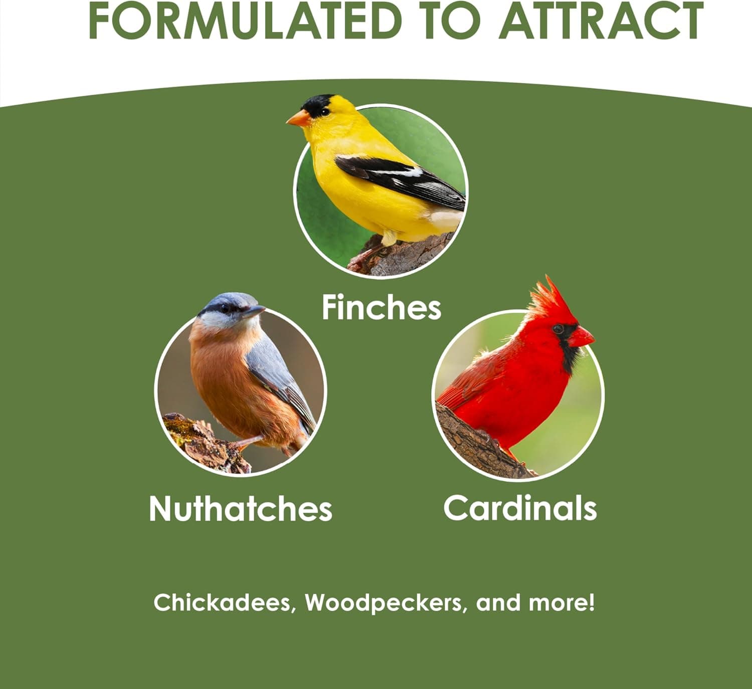 Kaytee Ultimate No Mess Food, Wild Bird Seed for Outside Feeders, Grosbeaks, Cardinals, Nuthatches, Woodpeckers & More, 9.75 Pounds