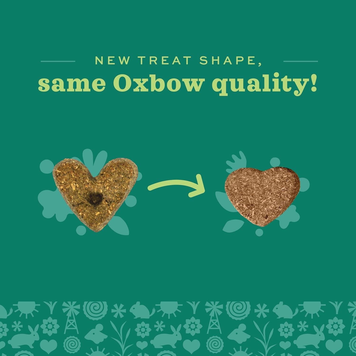 Oxbow Simple Rewards Guinea Pig & Rabbit Treats, Apple Banana, Baked, 3 oz | Timothy Hay, Bunny Treats, Hamster Treats, Chinchilla, Guinea Pig Snack, Rabbit Enrichment, Rabbit Accessories, Essentials