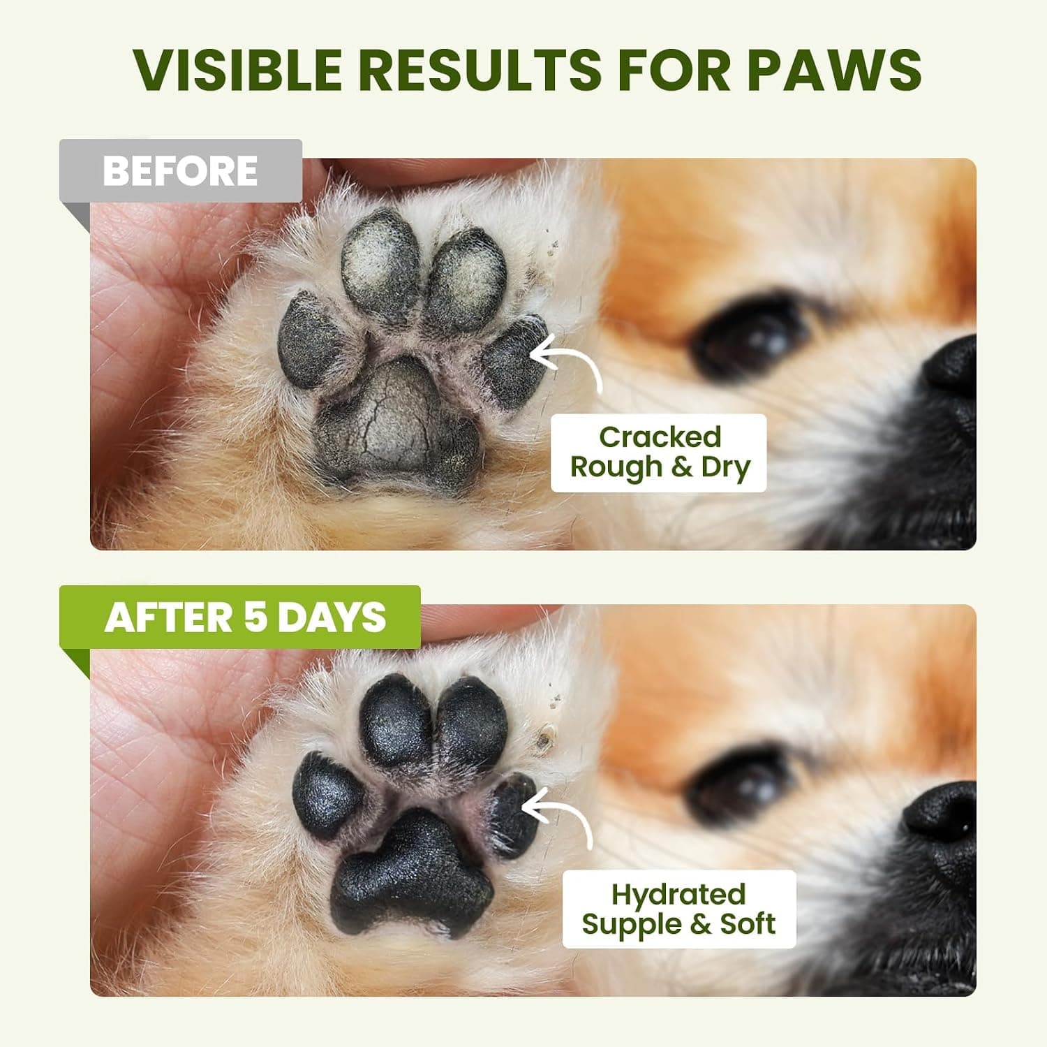 Lick-Safe Dog Paw & Nose Balm with Coconut Oil | All-Natural Moisturizer & Soother for Dry, Cracked Pads & Snout, Heat & Cold Pavement Protection, Horse Hoof Care