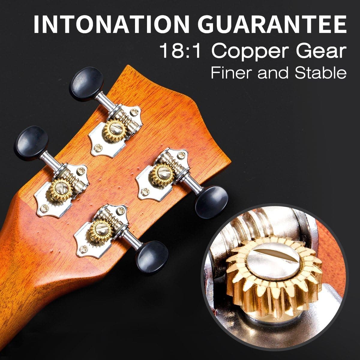 Ukulele, AKLOT Concert Ukelele Solid Mahogany 23 inch for Professional Beginners Adults Kit with Free Online Lesson and Uke Accessories