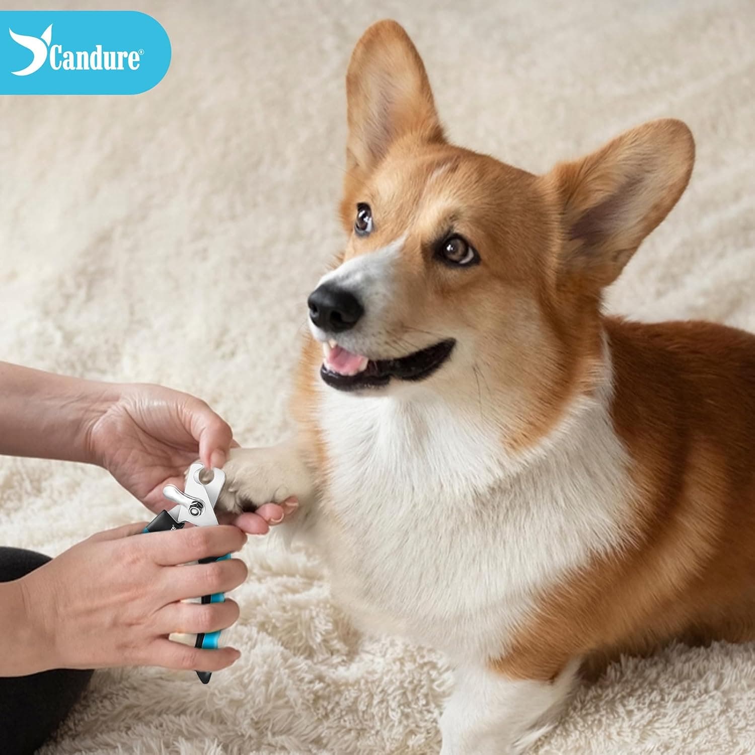 Candure Dog Nail Clippers and Trimmer with Safety Guard to Avoid Over-Cutting Toe Nails, Professional Grooming Pet Nail Clipper with Nail File for Small, Medium & Large Breeds | Pet Dog and Cat Nail Clipper