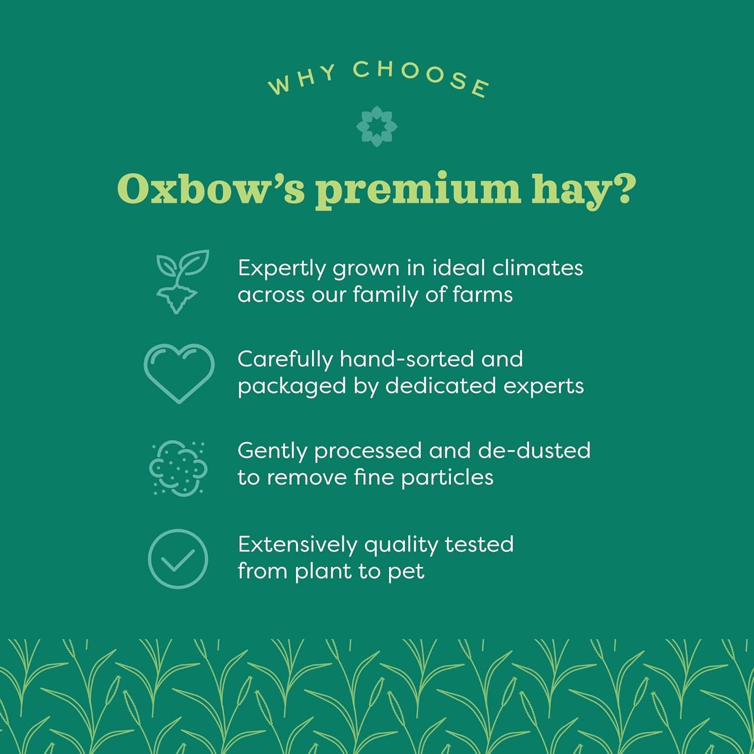 Oxbow Western Timothy Hay, Rabbit & Guinea Pig Hay, High Fiber, USA, 90 oz | Oxbow Timothy Hay, Bunny Hay For Rabbits, Guinea Pigs, Bunnies and Chinchillas, Hand-Sorted, De-Dusted, Made in USA