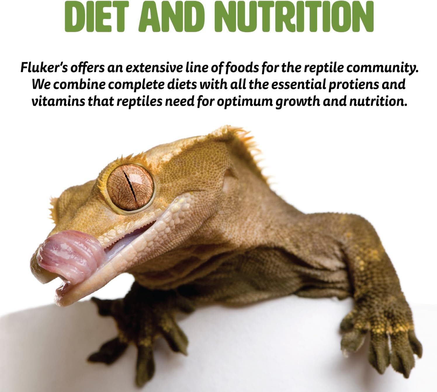 Fluker's Flukers 70131 Buffet Blend Aquatic Formula Turtle Food, 12oz