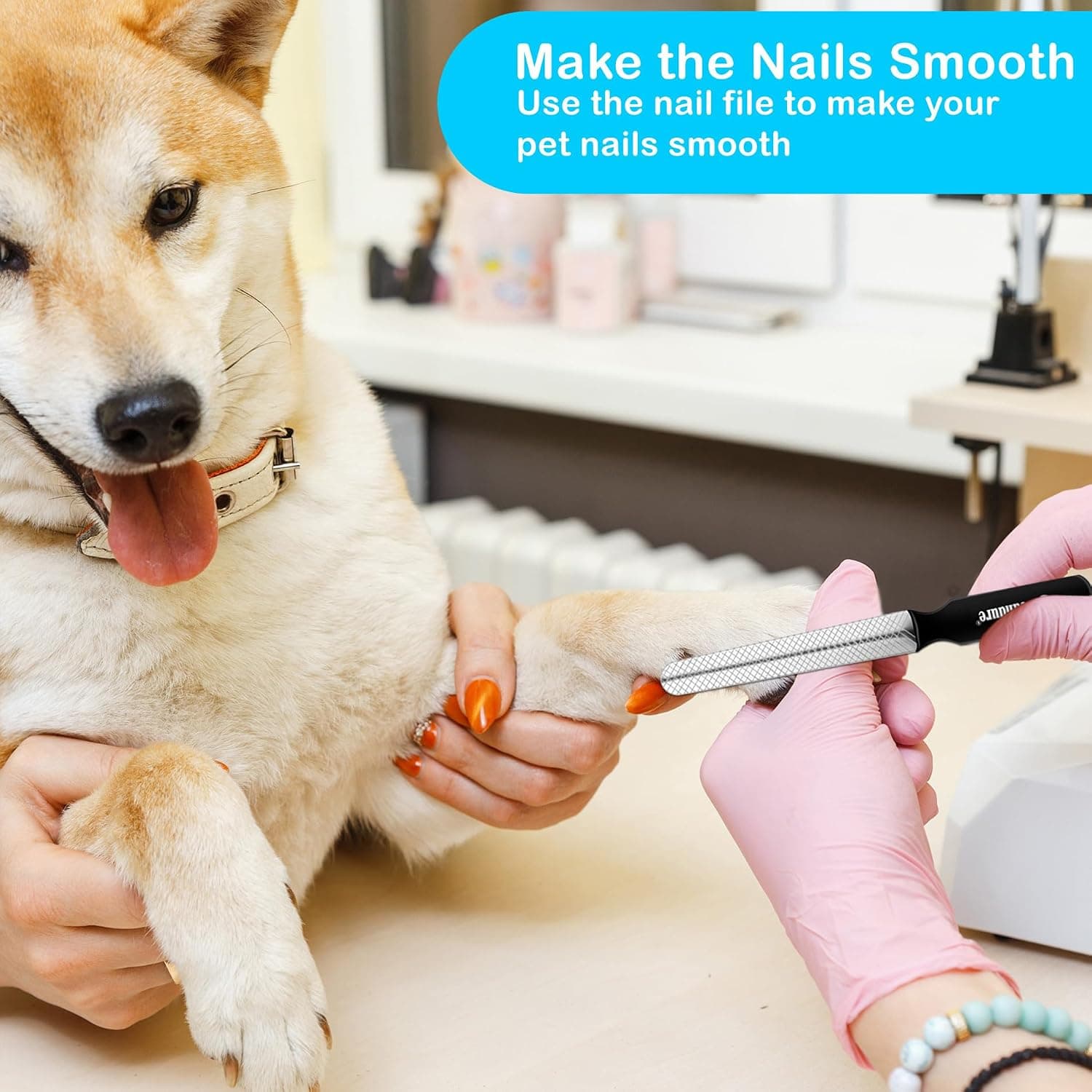 Candure Dog Nail Clippers and Trimmer with Safety Guard to Avoid Over-Cutting Toe Nails, Professional Grooming Pet Nail Clipper with Nail File for Small, Medium & Large Breeds | Pet Dog and Cat Nail Clipper