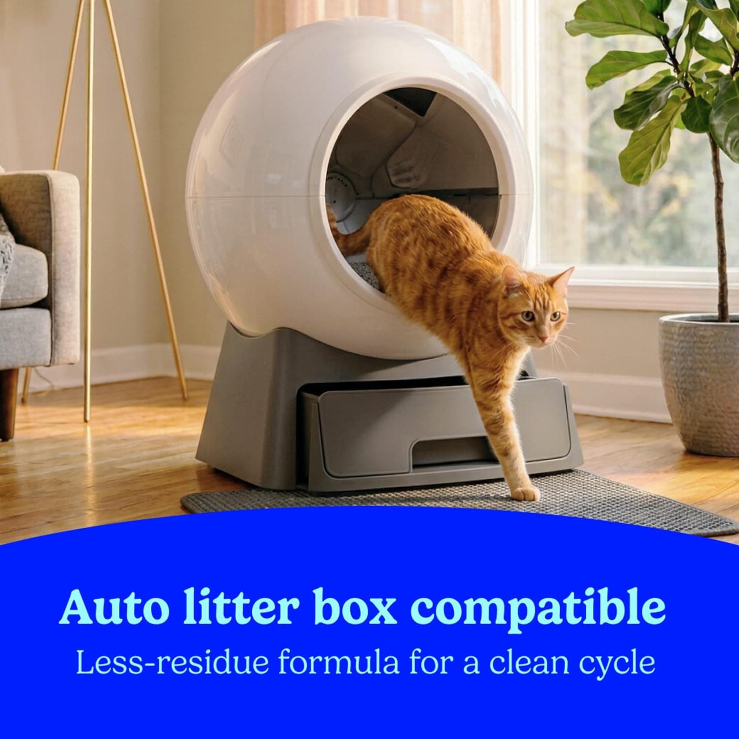 Fresh Step Advanced Odor Shield Clumping Cat Litter with Gain, 18.5 lb, 2Pk | Odor Shield with Ammonia Block Technology, Low Dust, Multi Cat, Compatible with Most Automatic Litter Boxes