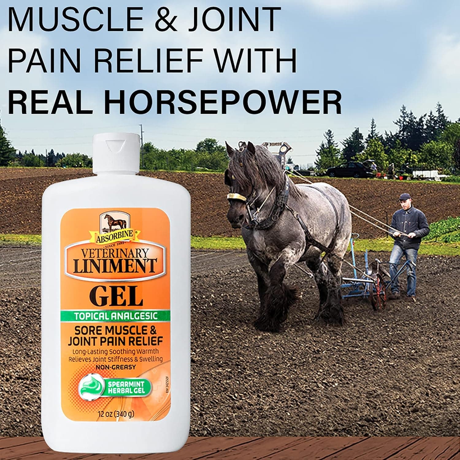 Absorbine Veterinary Liniment Gel, 12 oz Bottle | Gel Format, Menthol Scent, Topical Rub Easy to Use, Fast Relief, Sore Muscles & Arthritis, Pre & Post Workout, Warm Sensation