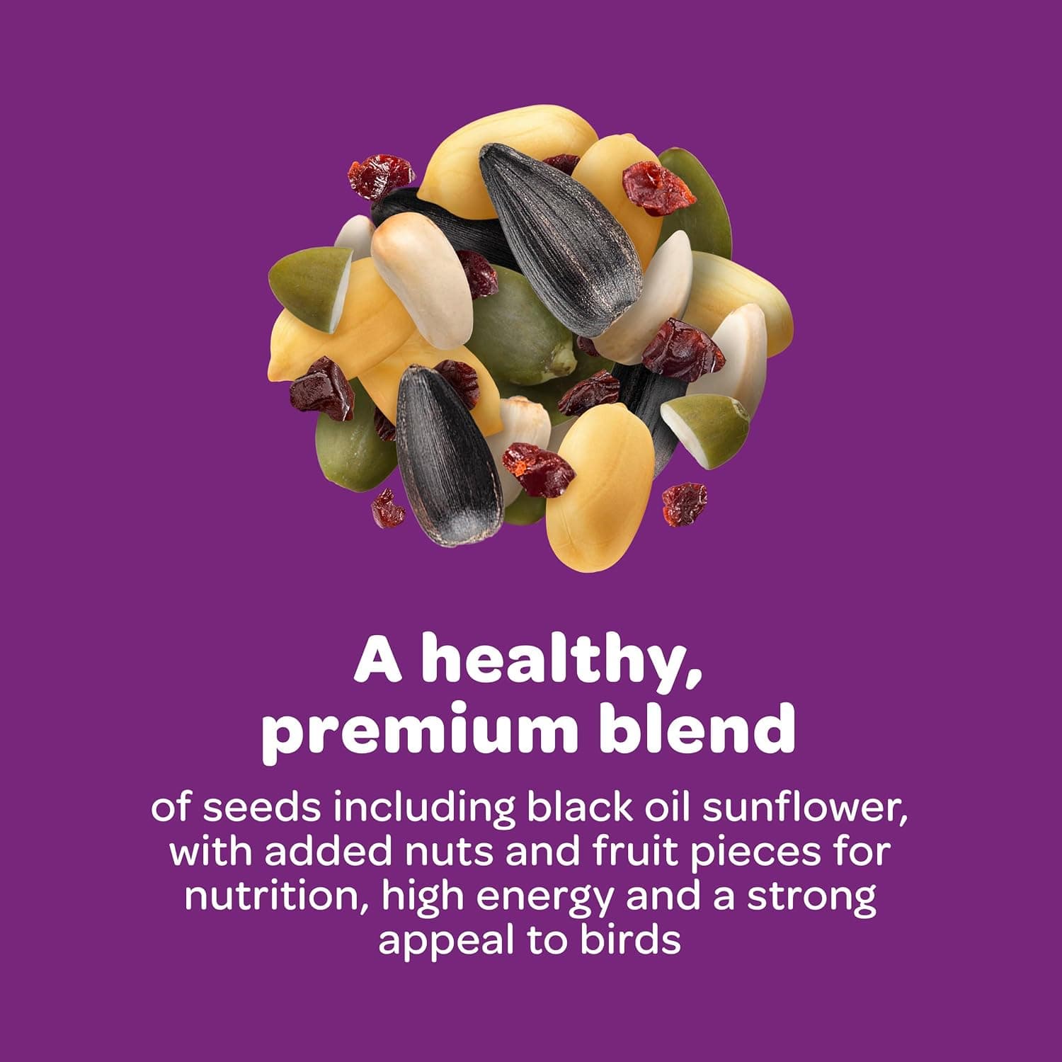 Kaytee Nut & Fruit Wild Bird Seed, 5 lb