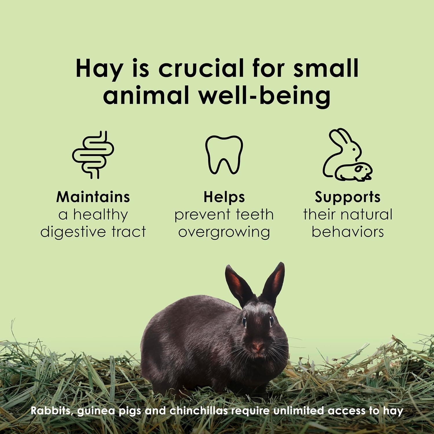 Kaytee Timothy Hay, High Fiber for Rabbits, Guinea Pigs, 48 Ounces | Supports digestive health. Hand-selected rabbit hay. Guinea pig hay, chinchilla hay, pesticide free