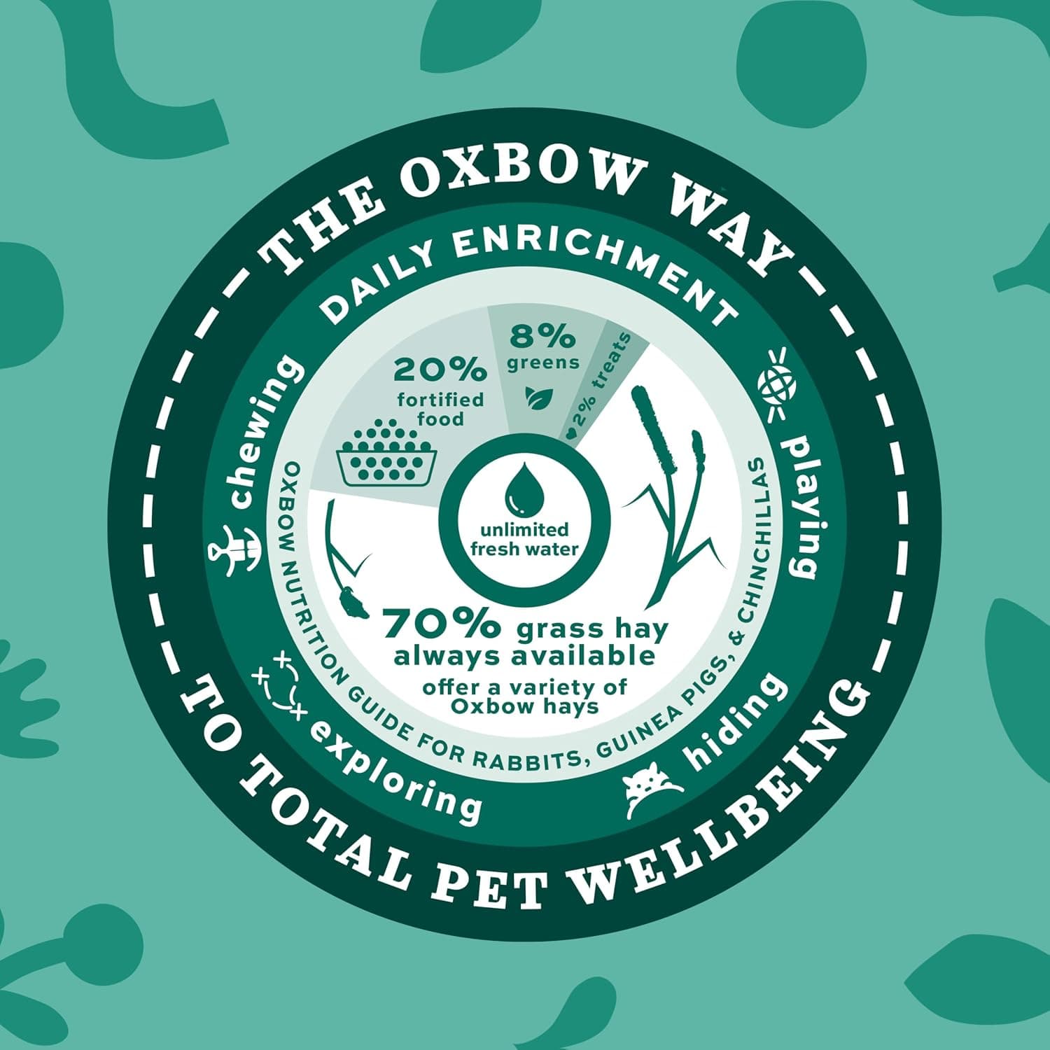 Oxbow Western Timothy Hay, Rabbit & Guinea Pig Hay, High Fiber, USA, 90 oz | Oxbow Timothy Hay, Bunny Hay For Rabbits, Guinea Pigs, Bunnies and Chinchillas, Hand-Sorted, De-Dusted, Made in USA