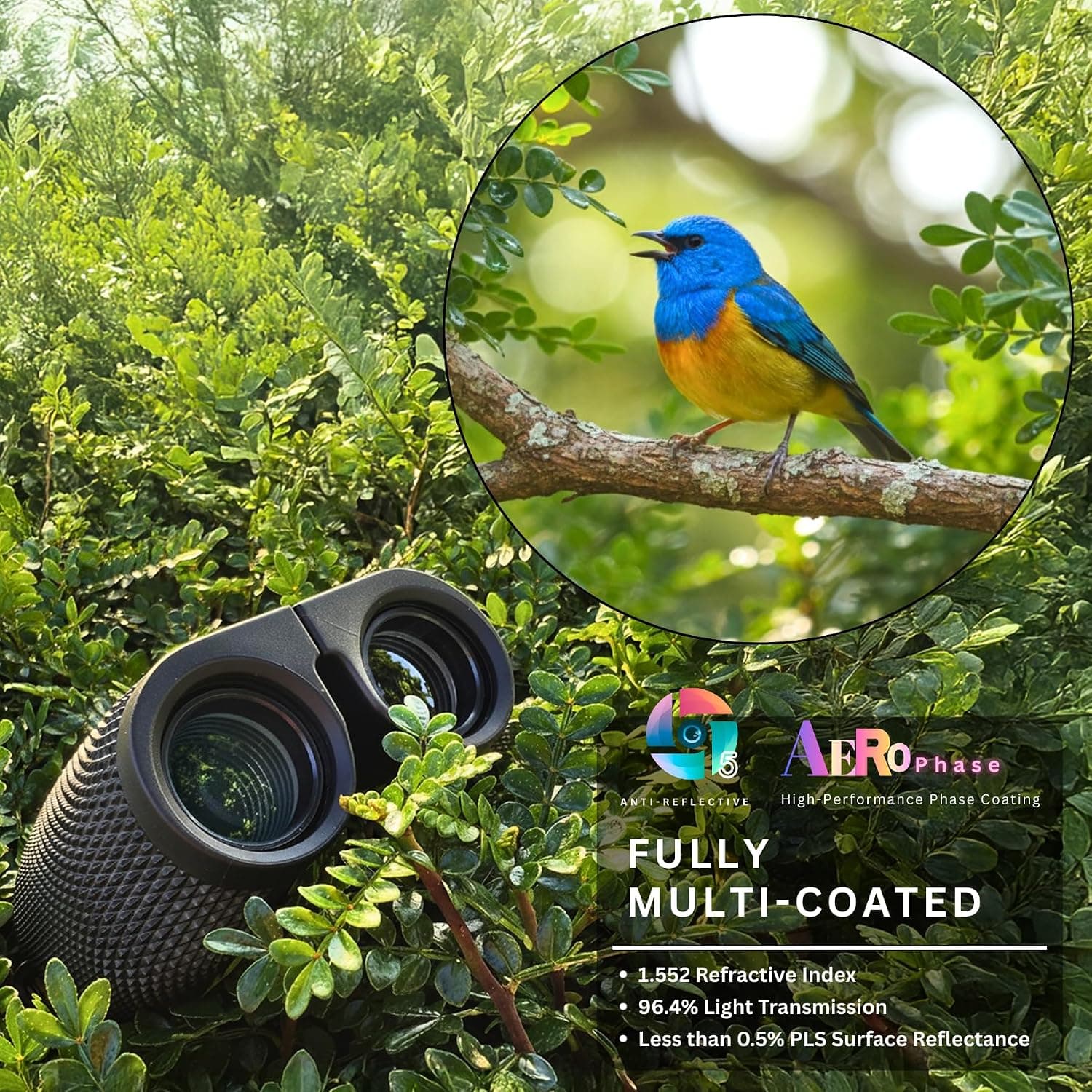 10x25 Compact Binoculars for Adults and Kids | Bird Watching, Travel, Cruise Ship, Sport Games, Theater, Concerts, Road Trip