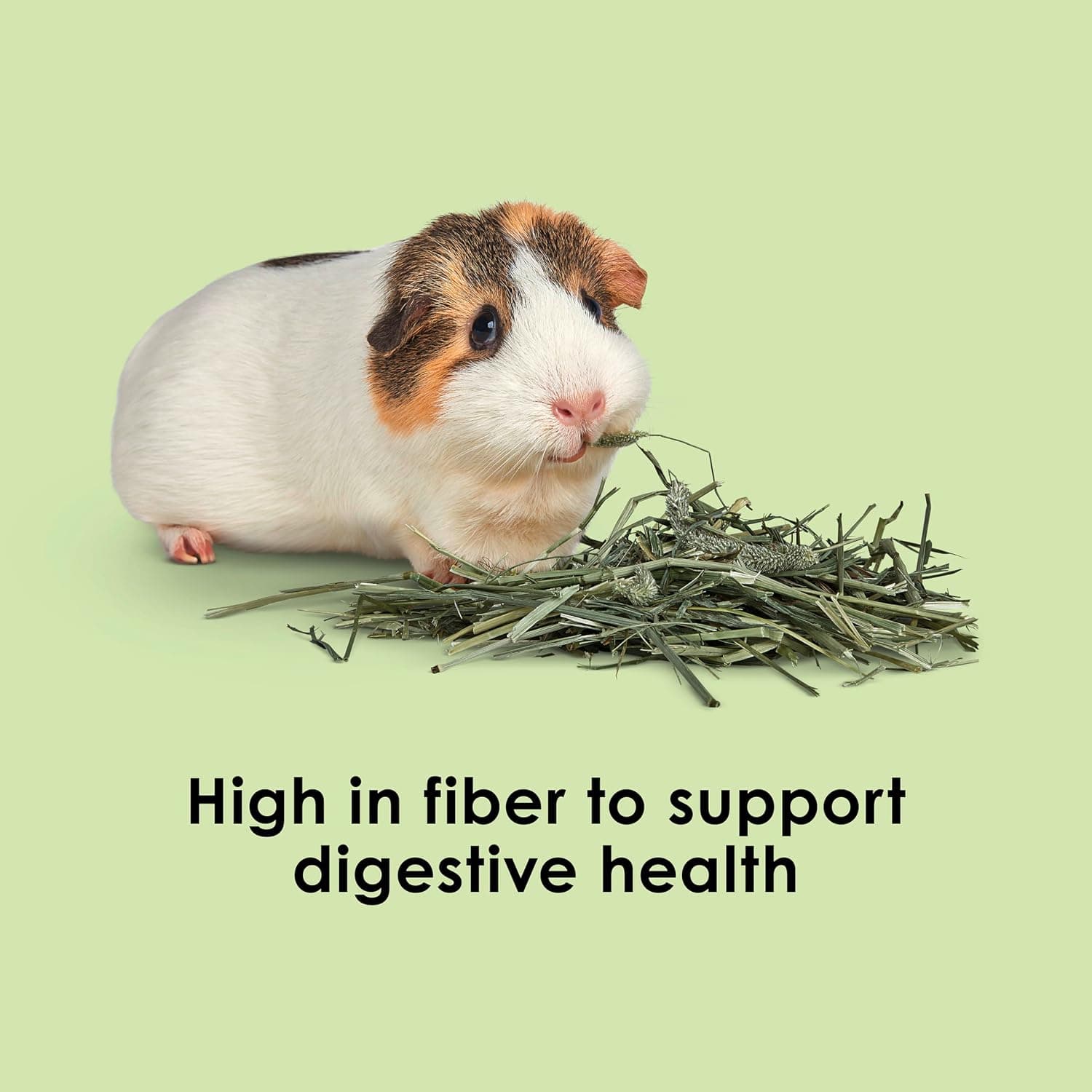 Kaytee Timothy Hay, High Fiber for Rabbits, Guinea Pigs, 48 Ounces | Supports digestive health. Hand-selected rabbit hay. Guinea pig hay, chinchilla hay, pesticide free
