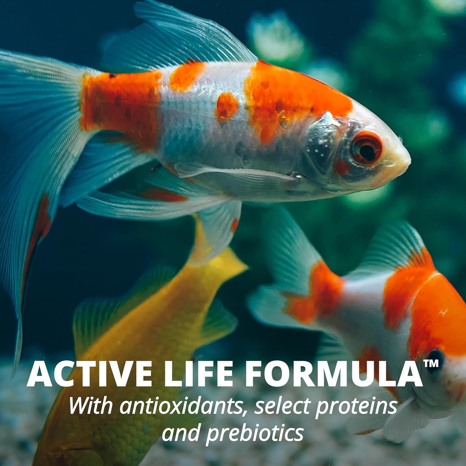 Tetra Goldfish Flakes Fish Food, 7.06 oz | Nutritionally Balanced Daily Diet for Goldfish and Small Koi, Color-Enhancing, Highly Digestible, Clean & Clear Water Formula