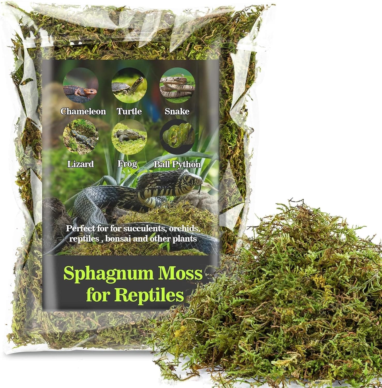Sukh Sphagnum Moss for Reptiles - Green Terrarium Moss Substrate, 5oz | Habitat Bedding for Gecko, Snake, Turtle, Frog, Bearded Dragon, Jumping Spider, Chameleon, Enclosure & Tank Accessories Decor