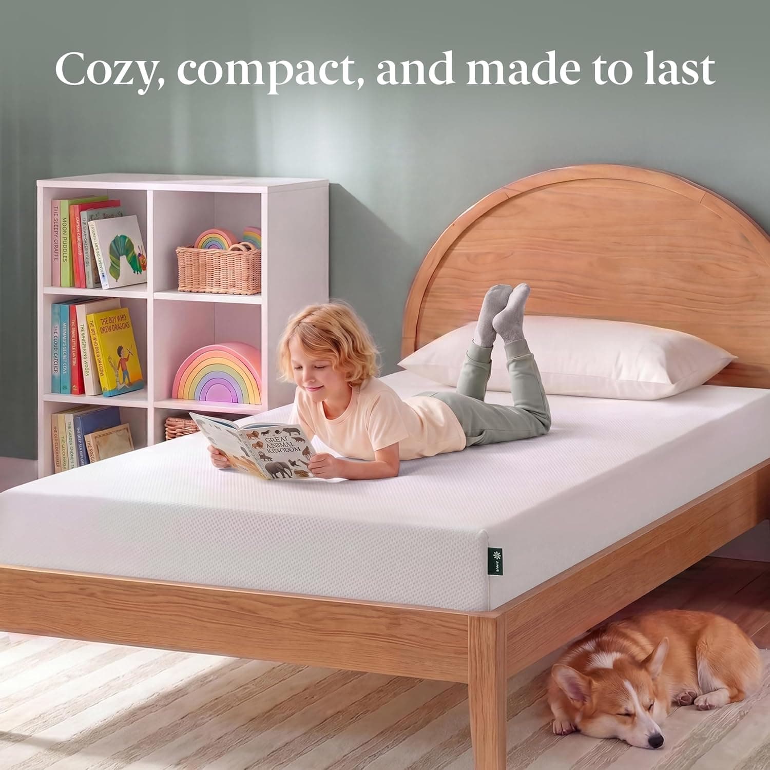 Zinus 5 Inch Twin Green Tea Memory Foam Mattress, Medium Firm Feel | Pressure-Relieving Comfort & Full-Body Support, Naturally Fresh, CertiPUR-US & OEKO-TEX Certified Safe Materials