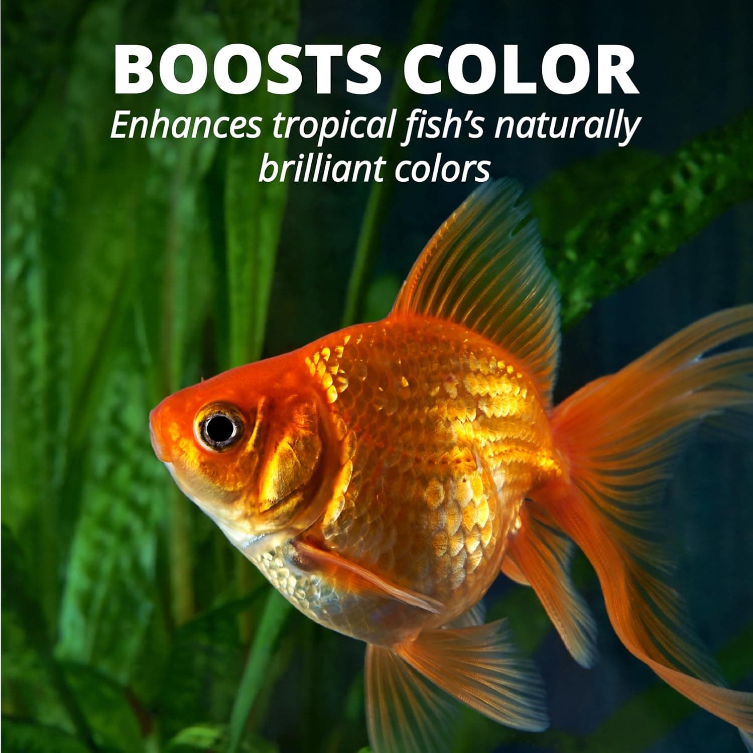 Tetra Goldfish Flakes Fish Food, 7.06 oz | Nutritionally Balanced Daily Diet for Goldfish and Small Koi, Color-Enhancing, Highly Digestible, Clean & Clear Water Formula