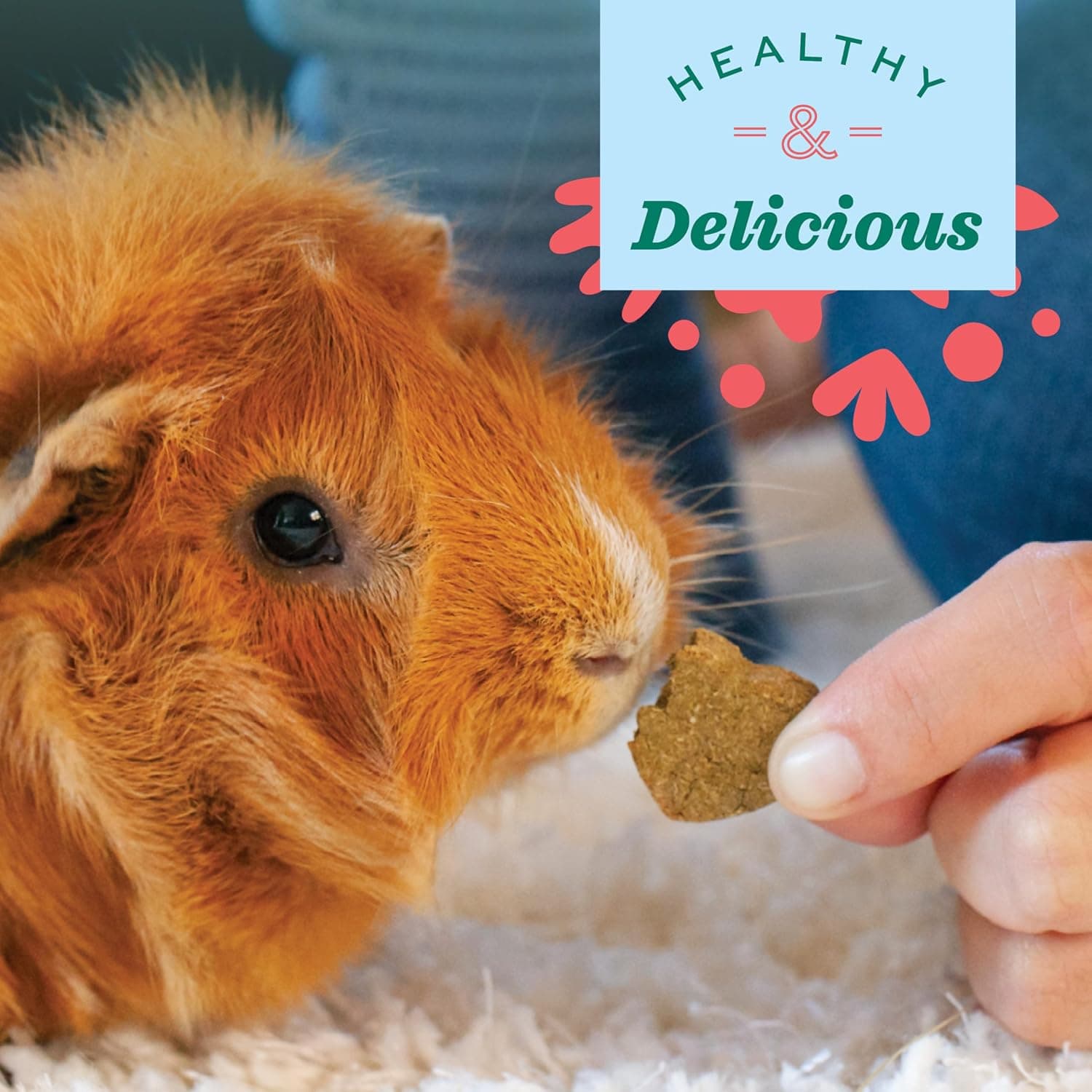Oxbow Simple Rewards Guinea Pig & Rabbit Treats, Apple Banana, Baked, 3 oz | Timothy Hay, Bunny Treats, Hamster Treats, Chinchilla, Guinea Pig Snack, Rabbit Enrichment, Rabbit Accessories, Essentials