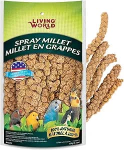 Living World Millet Spray for Birds Review