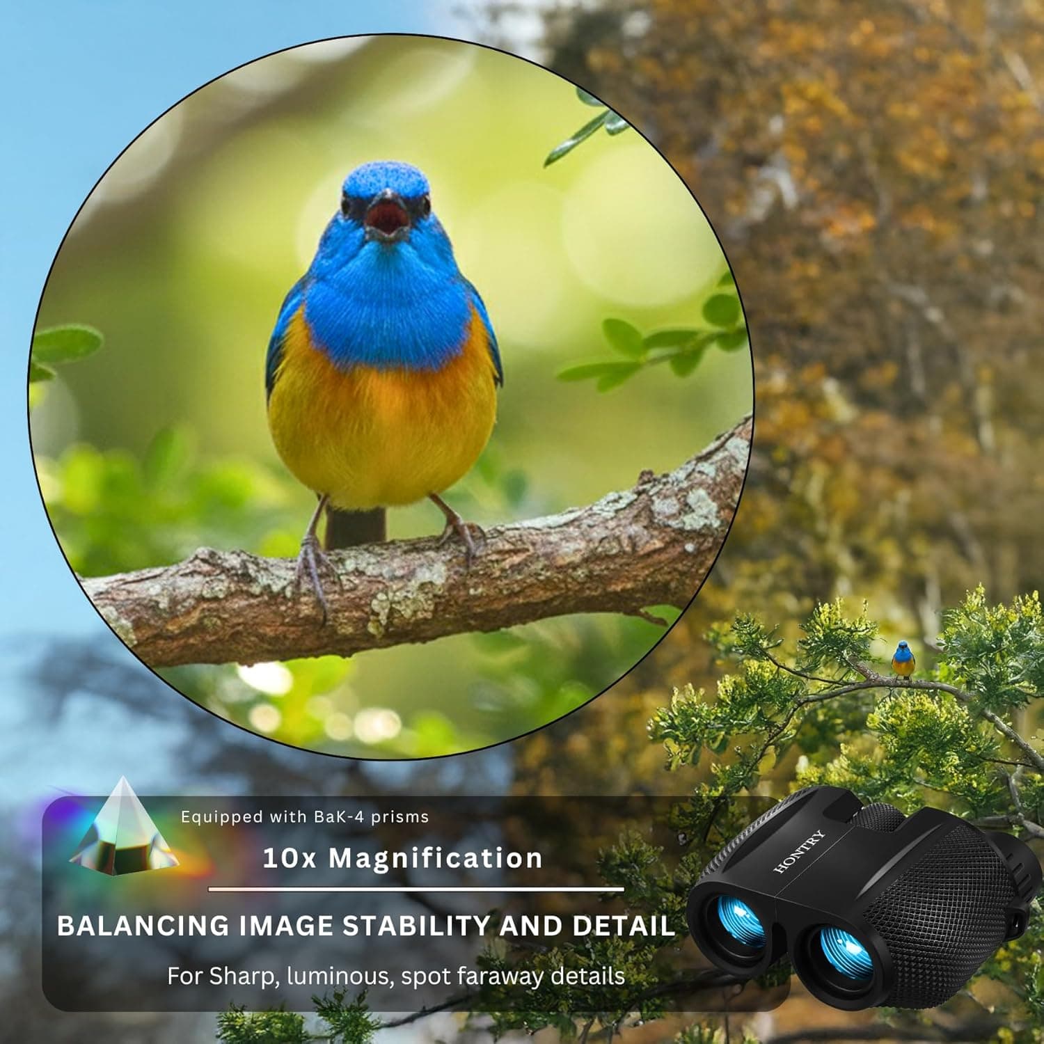 10x25 Compact Binoculars for Adults and Kids | Bird Watching, Travel, Cruise Ship, Sport Games, Theater, Concerts, Road Trip