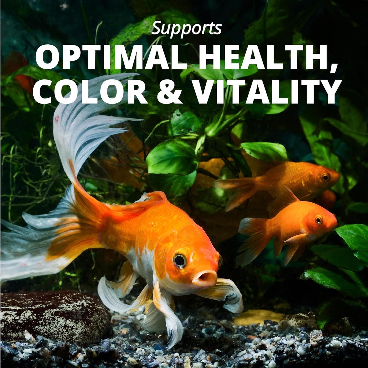 Tetra Goldfish Flakes Fish Food, 7.06 oz | Nutritionally Balanced Daily Diet for Goldfish and Small Koi, Color-Enhancing, Highly Digestible, Clean & Clear Water Formula