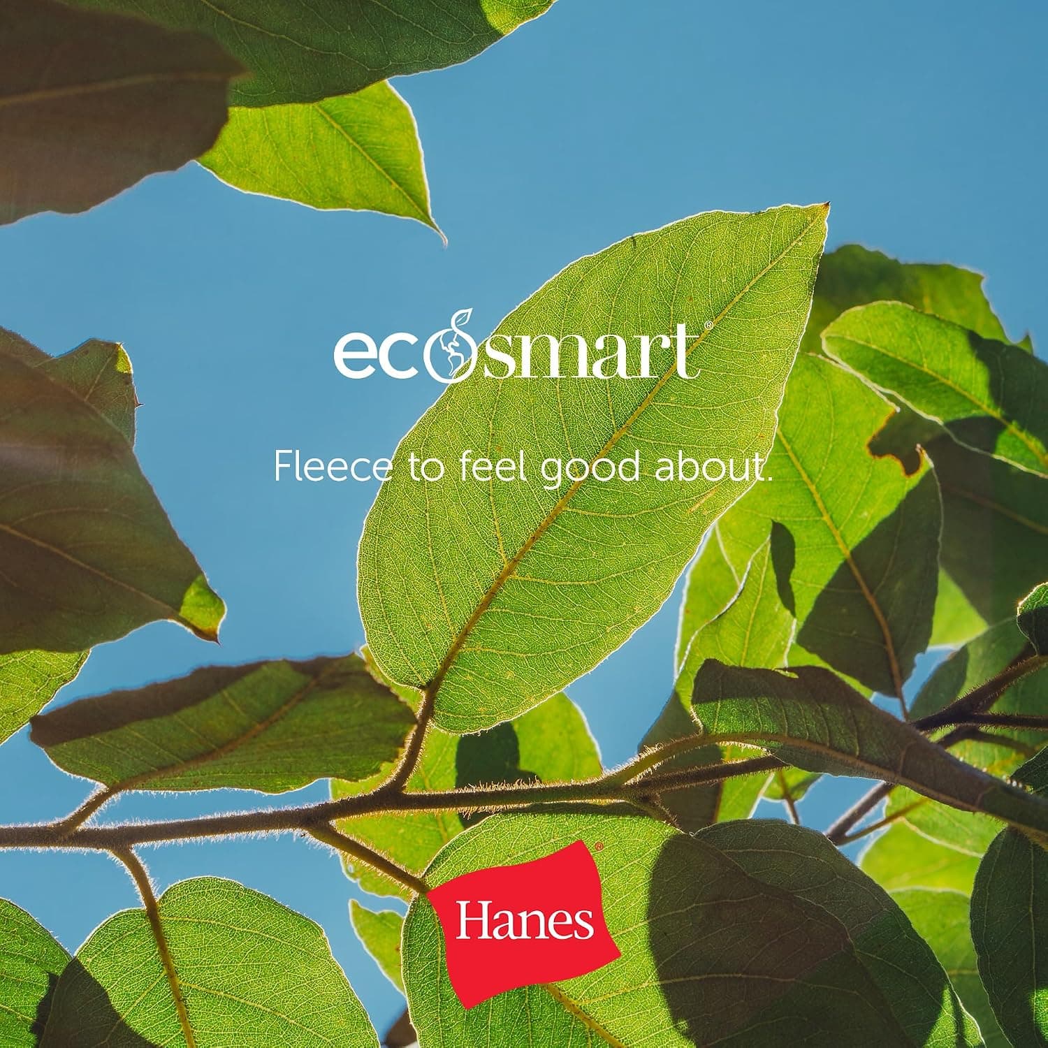 Hanes Men's Hoodie - EcoSmart Fleece Hooded Sweatshirt for Men & Women - Midweight Fleece - Big & Tall Available