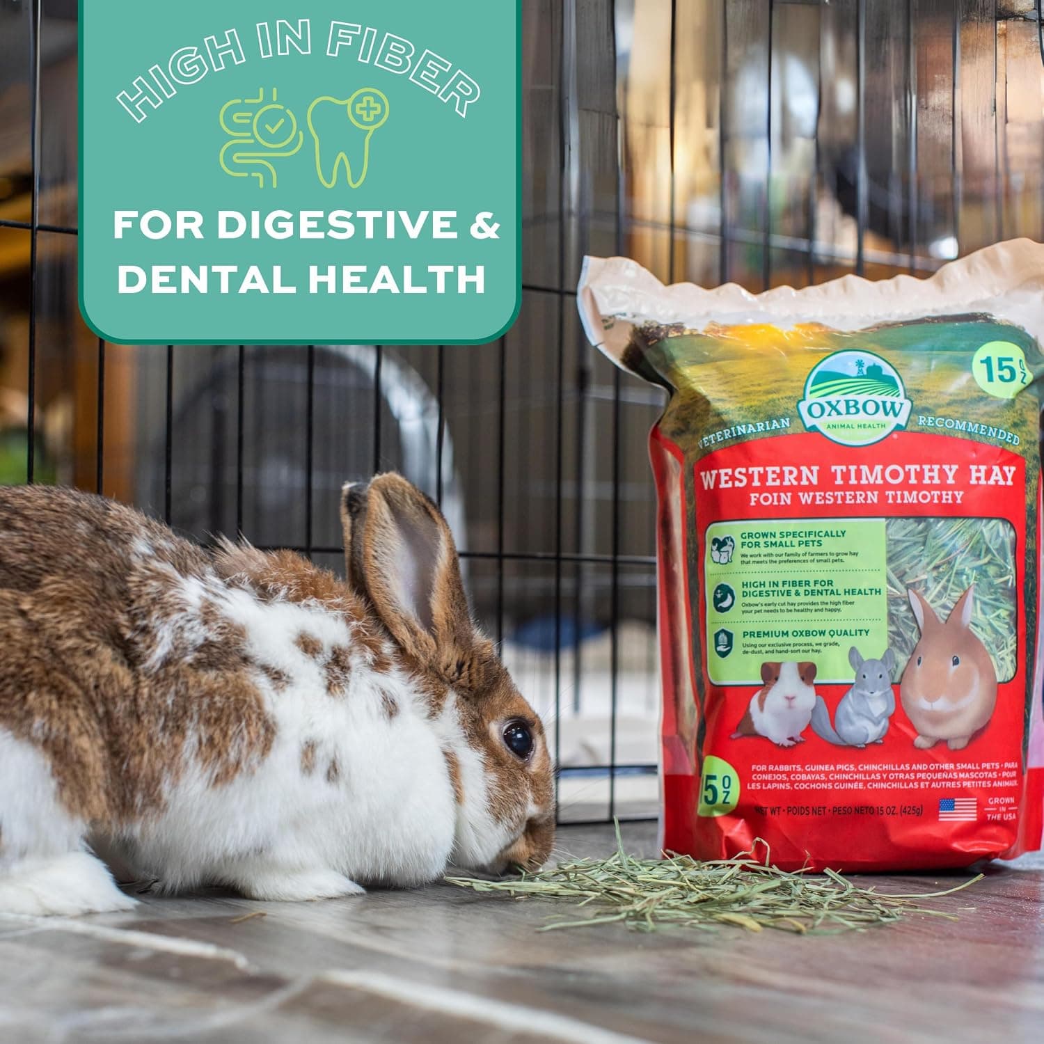 Oxbow Western Timothy Hay, Rabbit & Guinea Pig Hay, High Fiber, USA, 90 oz | Oxbow Timothy Hay, Bunny Hay For Rabbits, Guinea Pigs, Bunnies and Chinchillas, Hand-Sorted, De-Dusted, Made in USA