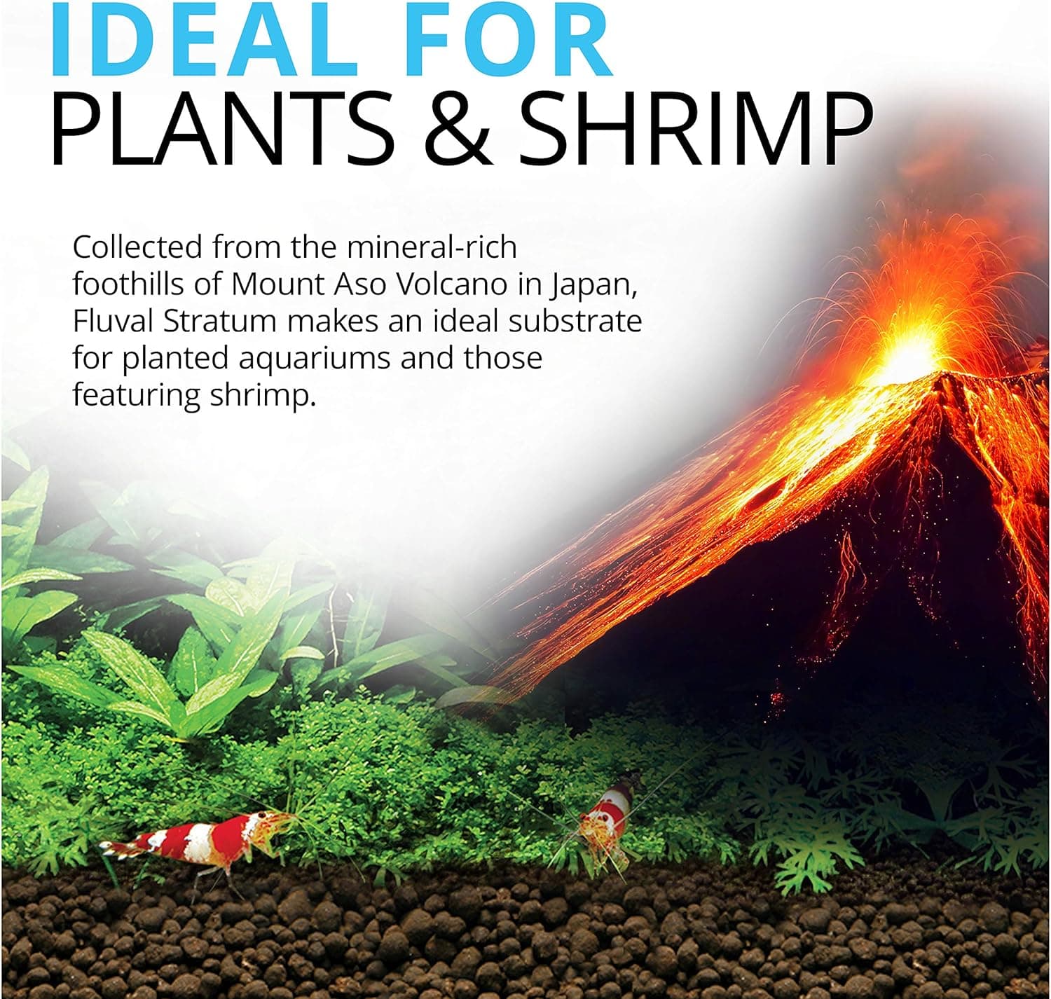 Fluval 12694 Plant and Shrimp Stratum for Freshwater Fish Tanks, 8.8 lbs. | Aquarium Substrate for Strong Plant Growth, Supports Neutral to Slightly Acidic pH