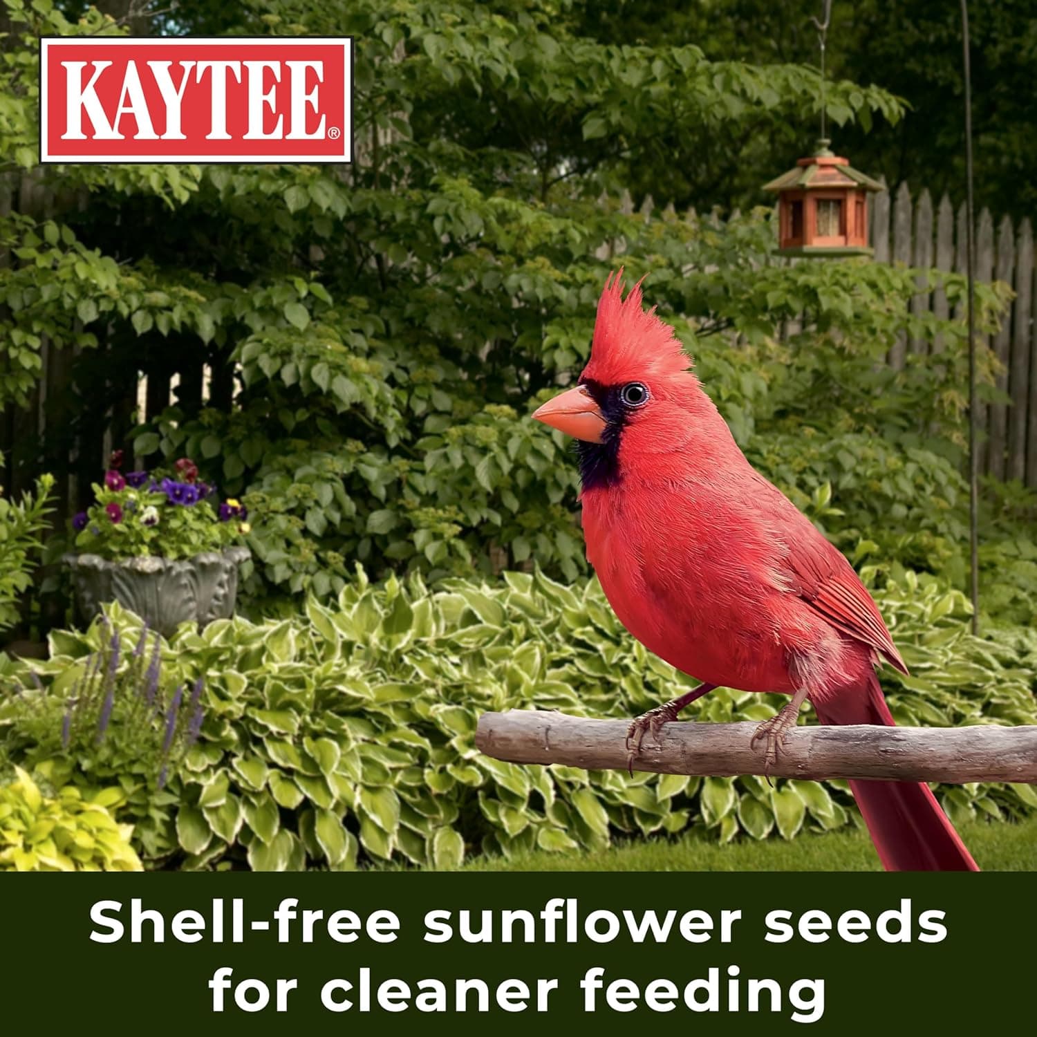 Kaytee Wild Bird No Mess Food Seed Blend for Cardinals, 10 Pound | Cleaner feeding. No mess bird seed. Shell-free, 100% edible, no grow bird seed