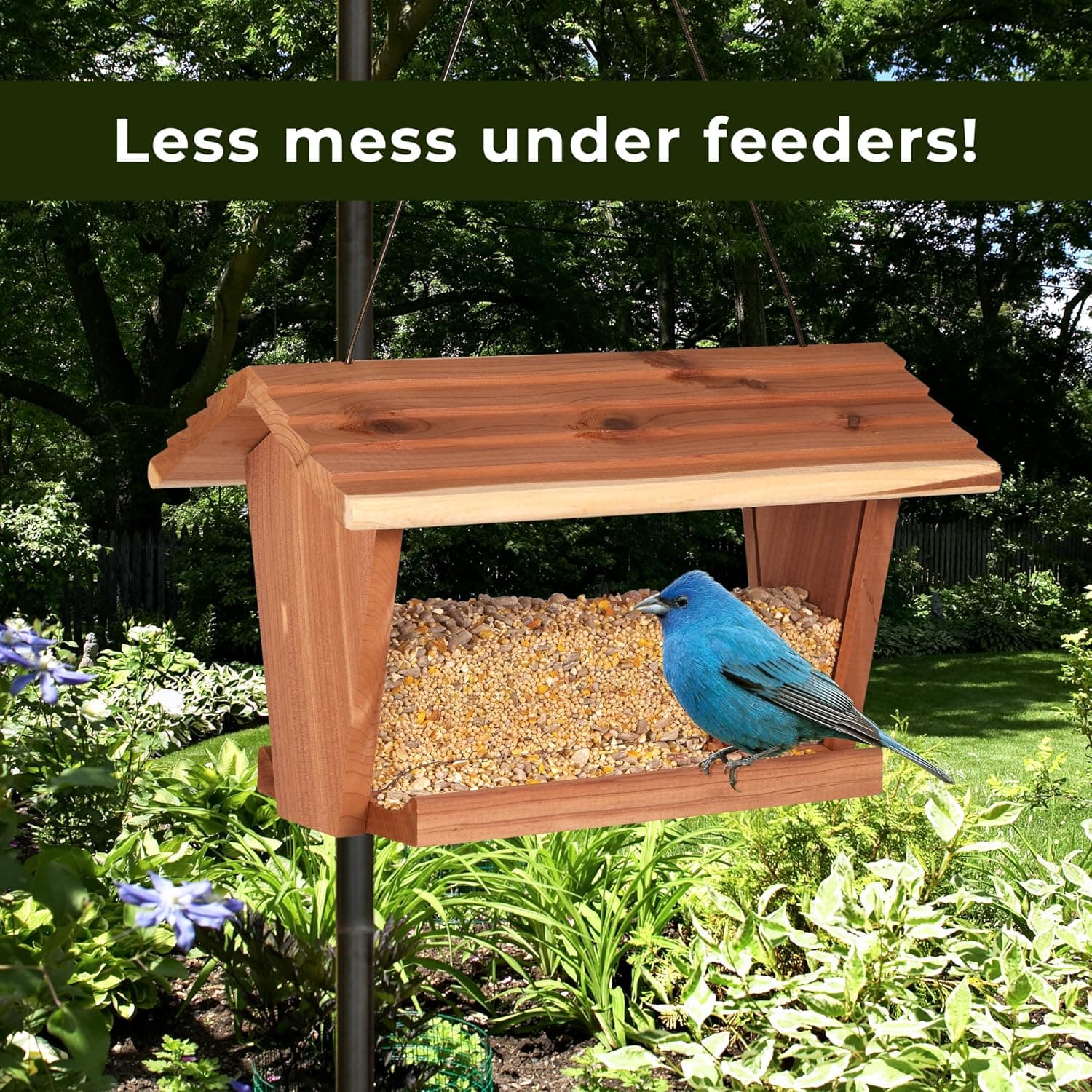 Kaytee Wild Bird No Mess Food Seed Blend for Cardinals, 10 Pound | Cleaner feeding. No mess bird seed. Shell-free, 100% edible, no grow bird seed