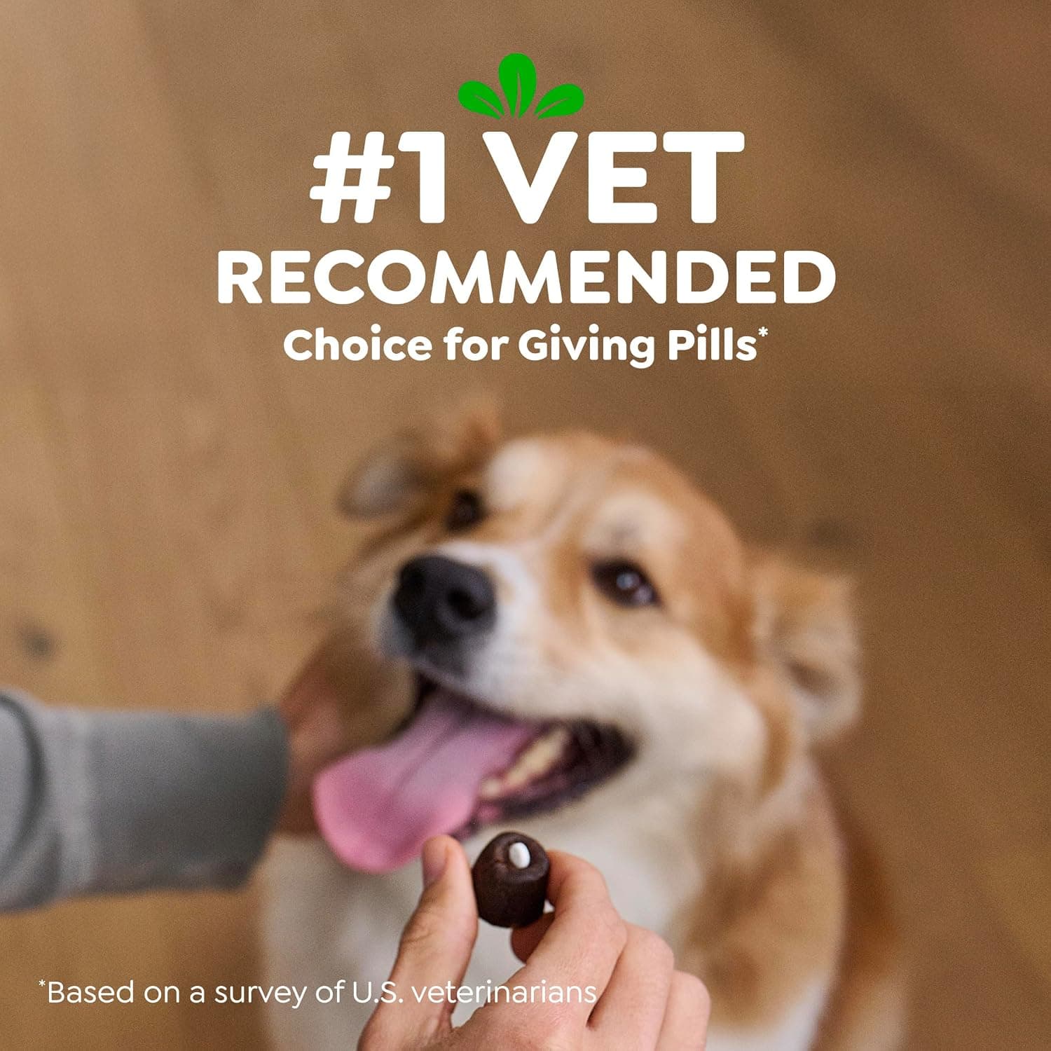 Greenies Pill Pockets Large Size Dog Treats, Peanut Butter, 15.8 oz | Vet-recommended, capsule size, low calorie, odor masking, stress- and mess-free medication experience