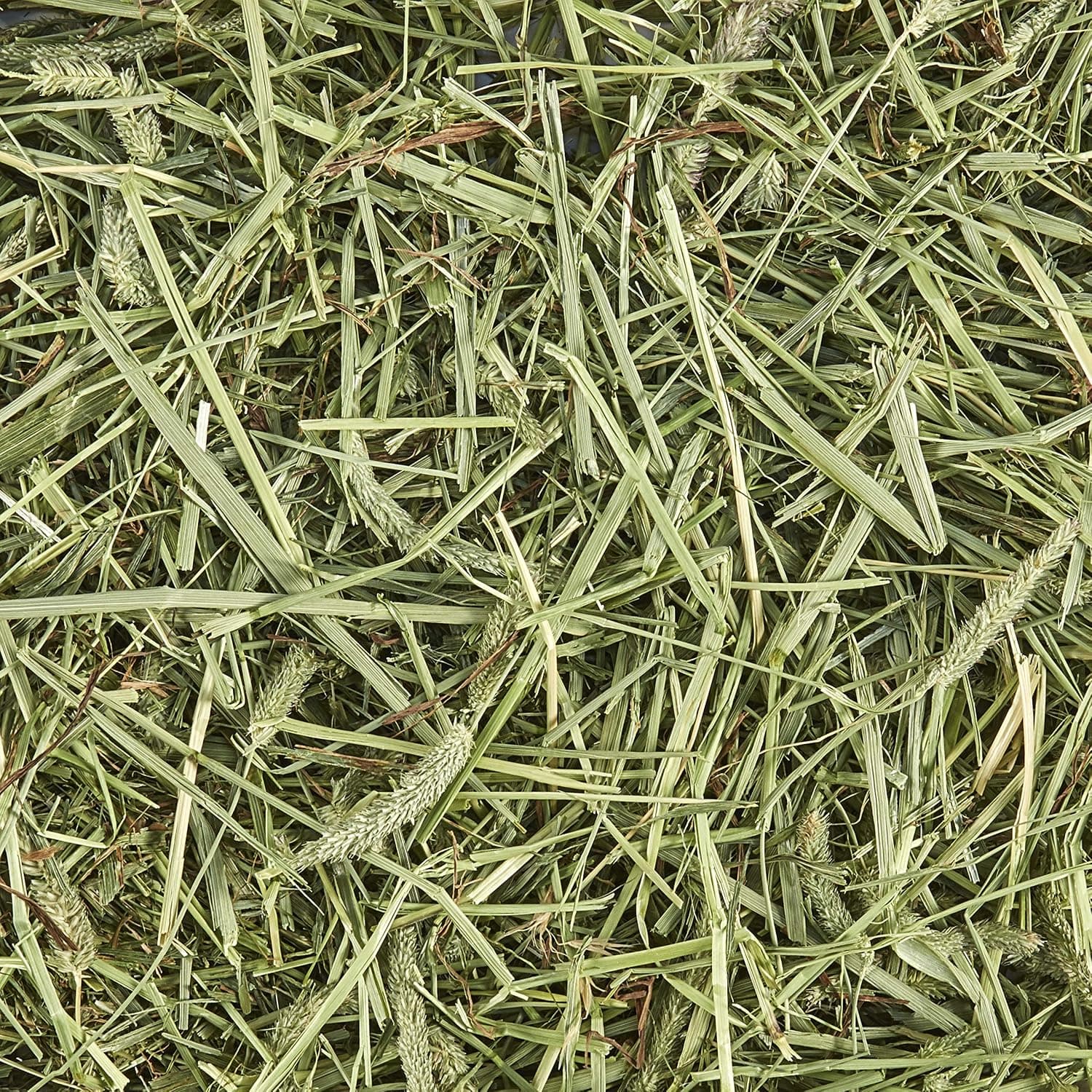 Kaytee Timothy Hay, High Fiber for Rabbits, Guinea Pigs, 48 Ounces | Supports digestive health. Hand-selected rabbit hay. Guinea pig hay, chinchilla hay, pesticide free