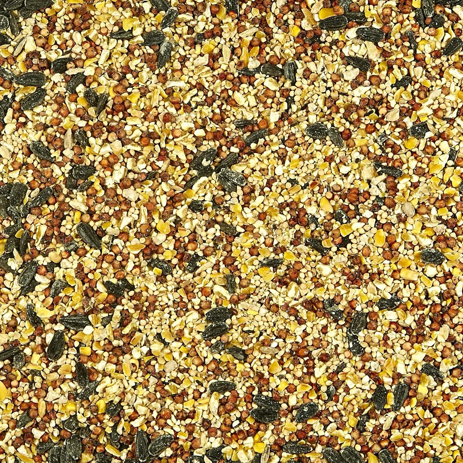 Kaytee All American Wild Bird Food Seed Blend for Cardinals, Blue Jays, Finches & Other Outdoor Wild Birds, 5 Pounds