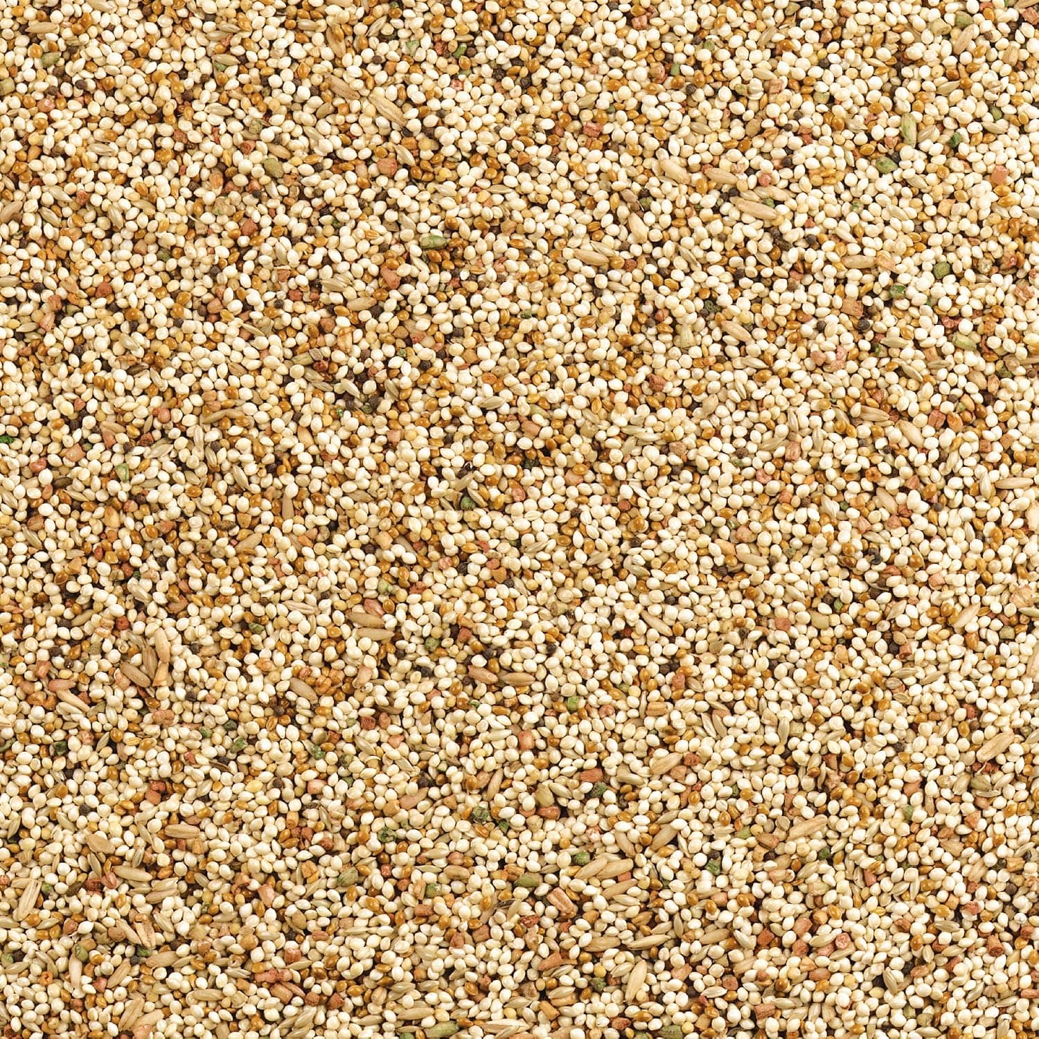 Wild Harvest Daily Blend Nutrition Diet for Parakeet, Canary and Finch 10 Pounds, Orange flavour