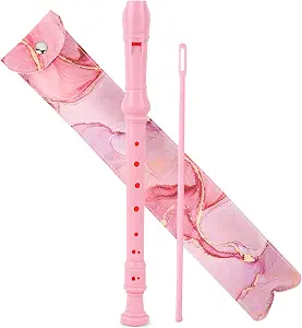 Jasenna Recorder Instrument Review